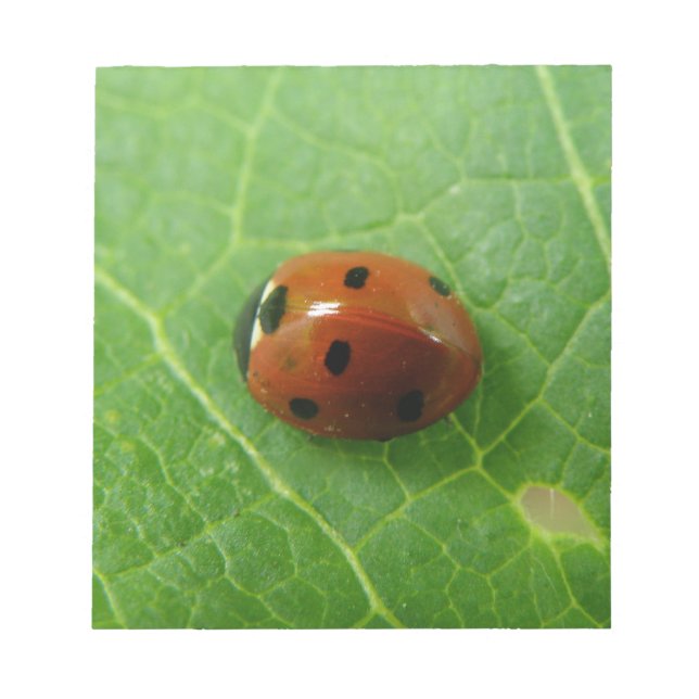 Ladybug Notepad (Front)