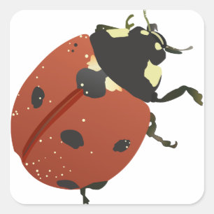 LadyBug Office Home Personalise Destiny Destiny'S Square Sticker