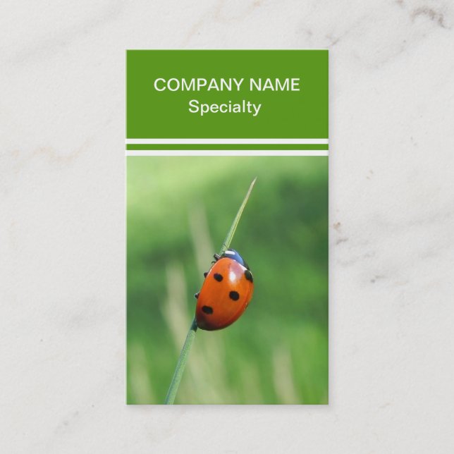 Ladybug on a blade of grass business card (Front)