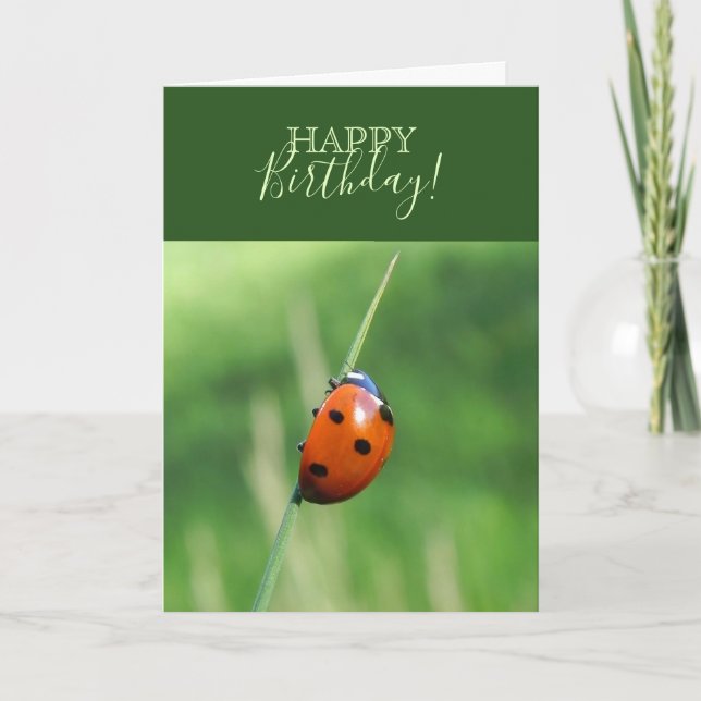 Ladybug on a blade of grass card (Front)