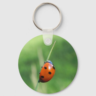 Ladybug on a blade of grass Keychain