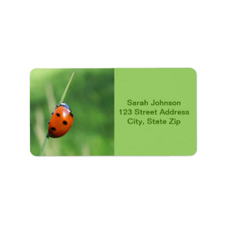 Ladybug on a blade of grass  Labels