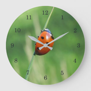 Ladybug on a blade of grass large clock