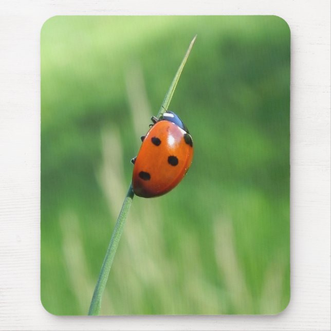Ladybug on a blade of grass  Mousepads (Front)