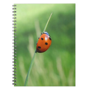 Ladybug on a blade of grass Notebook