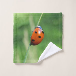 Ladybug on a blade of grass wash cloth