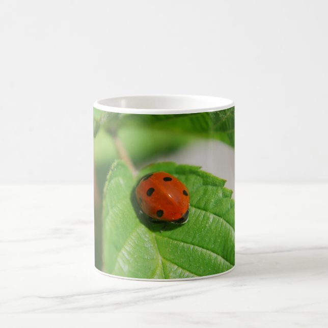 Ladybug on a leaf coffee mug (Center)