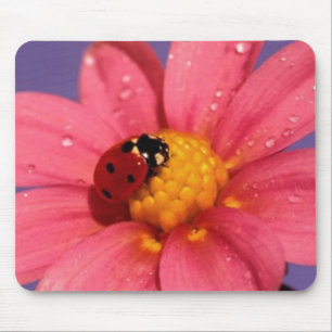 Ladybug On a Pink Daisy Mouse Pad