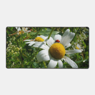 Ladybug on daisy in nature. desk mat