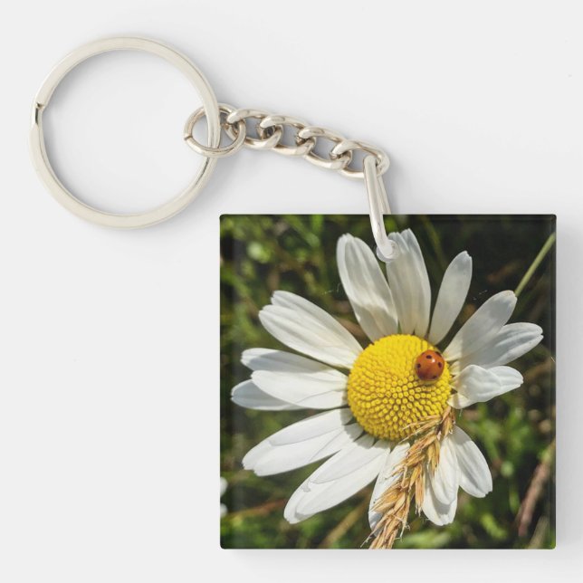 Ladybug on Daisy Key Ring (Front)