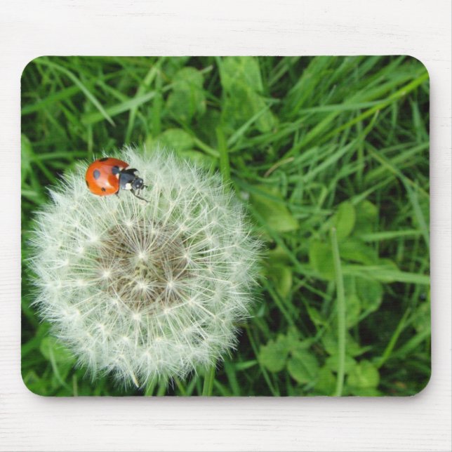 Ladybug on Dandelion Mouse Pad (Front)