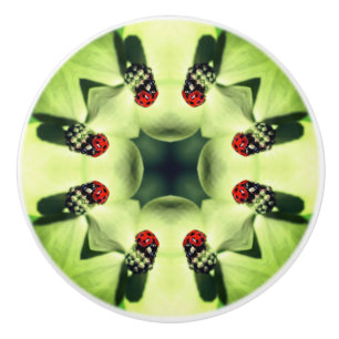 Ladybug On Dogwood Abstract Nature Art Ceramic Knob