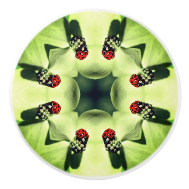 Ladybug On Dogwood Abstract Nature Art   Ceramic Knob (Front)