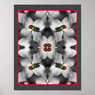 Ladybug On Dogwood Flower Abstract Nature Poster