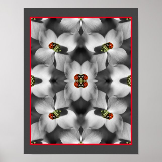Ladybug On Dogwood Flower Abstract Nature   Poster (Front)