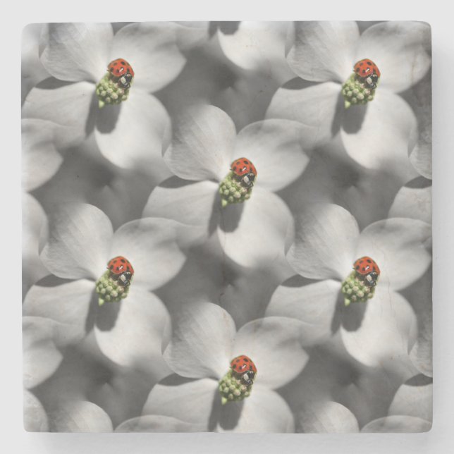 Ladybug On Dogwood Flower Nature Art Pattern Stone Coaster (Front)