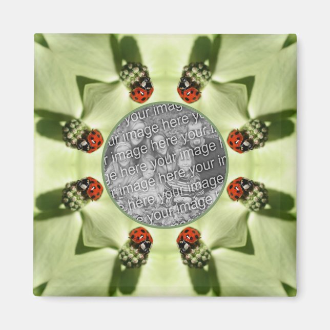 Ladybug On Dogwood Nature Add Your Photo Magnet (Front)