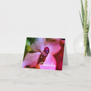 Ladybug On Flower Digital Art Thank You Card