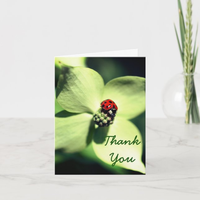 Ladybug On Flower Nature Thank You Card (Front)