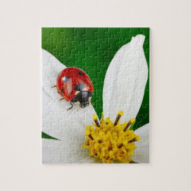 Ladybug on Flower Puzzle (Vertical)