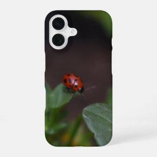 Ladybug on Flowers iPhone 16 Case