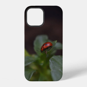 Ladybug on Flowers iPhone 12 Case