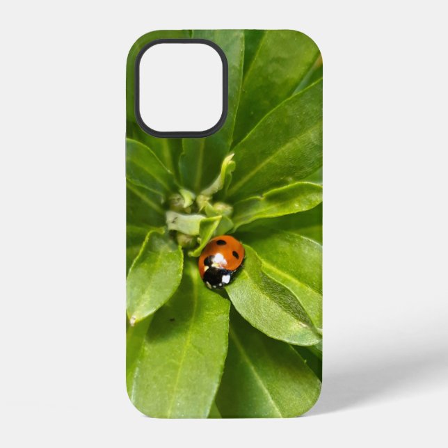 Ladybug on Flowers iPhone Case (Back)