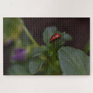 Ladybug on Flowers Jigsaw Puzzle