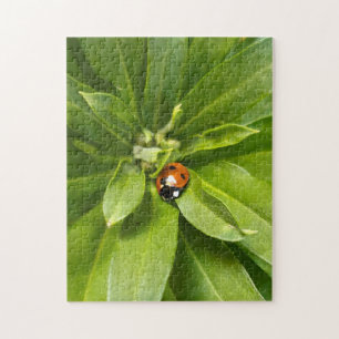 Ladybug on Flowers Jigsaw Puzzle
