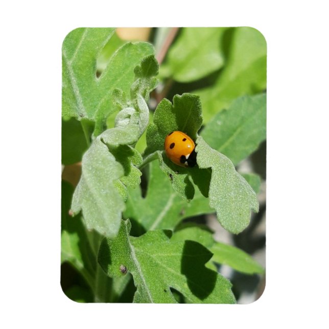 Ladybug on Flowers Magnet (Vertical)
