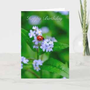 Ladybug on Forget-me-not Birthday Card
