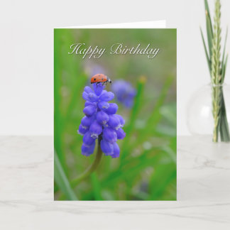 Ladybug on grape hyacinth Birthday Card