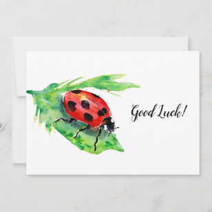 Ladybug on Green Leaf Good Luck Thank You Card