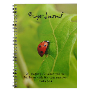 Ladybug on Green Leaves Faith Prayer Journal