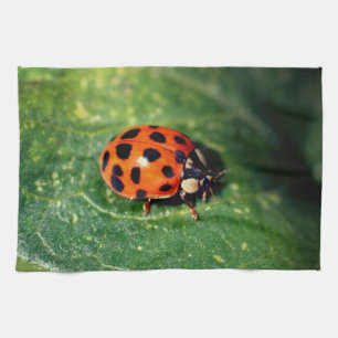 Ladybug On Leaf Close Up  Tea Towel