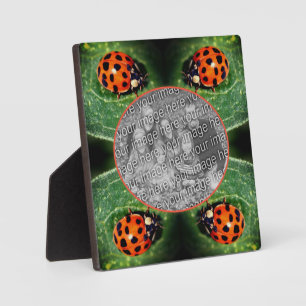 Ladybug On Leaf Create Your Own Photo  Plaque