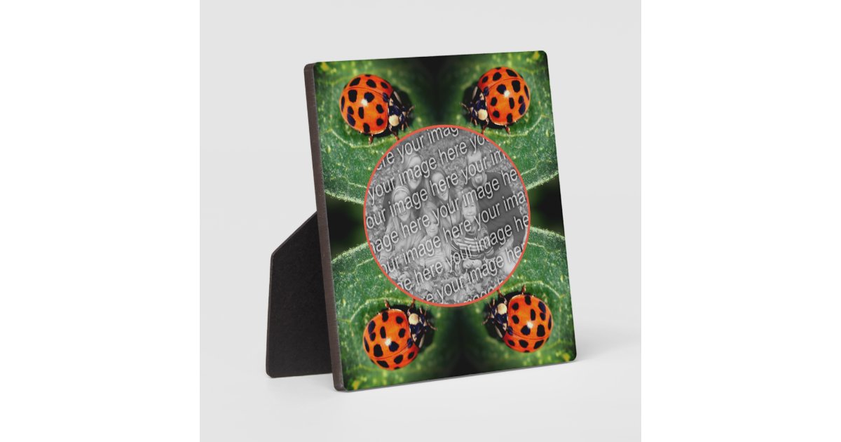 Ladybug On Leaf Create Your Own Photo Plaque | Zazzle