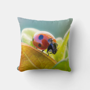 Ladybug On Leaf Cushion
