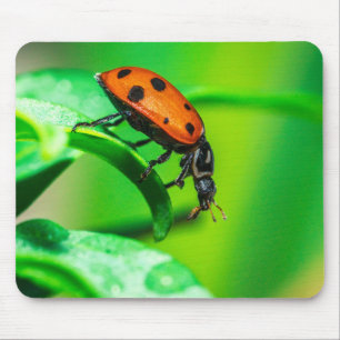 Ladybug on Leaf – Macro Nature Photo Art Print Mouse Pad