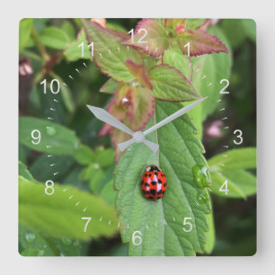 ladybug on leaf square wall clock