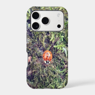 Ladybug on moss photography