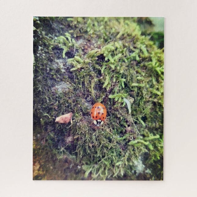 Ladybug on moss photography jigsaw puzzle (Vertical)