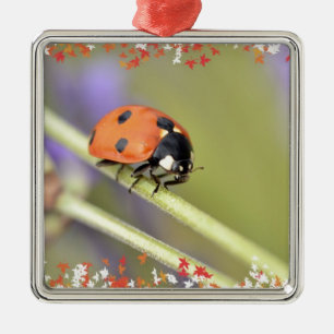 Ladybug on stem of lavender flower metal ornament