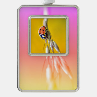 Ladybug on stem postcard square sticker T-Shirt Ma Silver Plated Framed Ornament