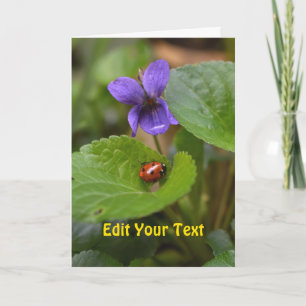 Ladybug on Sweet Violet Flowers Card