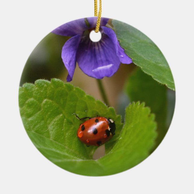 Ladybug on Sweet Violet Flowers Ceramic Ornament (Front)