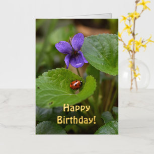 Ladybug on Sweet Violet Flowers Foil Greeting Card