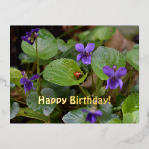 Ladybug on Sweet Violet Flowers Foil Holiday Postcard