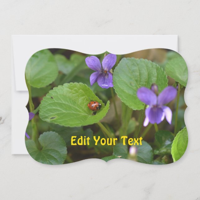 Ladybug on Sweet Violet Flowers Holiday Card (Front)