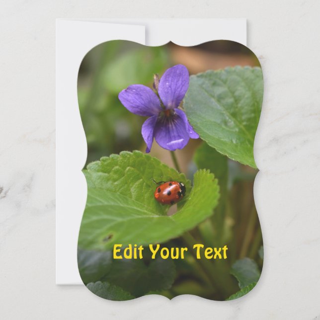 Ladybug on Sweet Violet Flowers Holiday Card (Front)